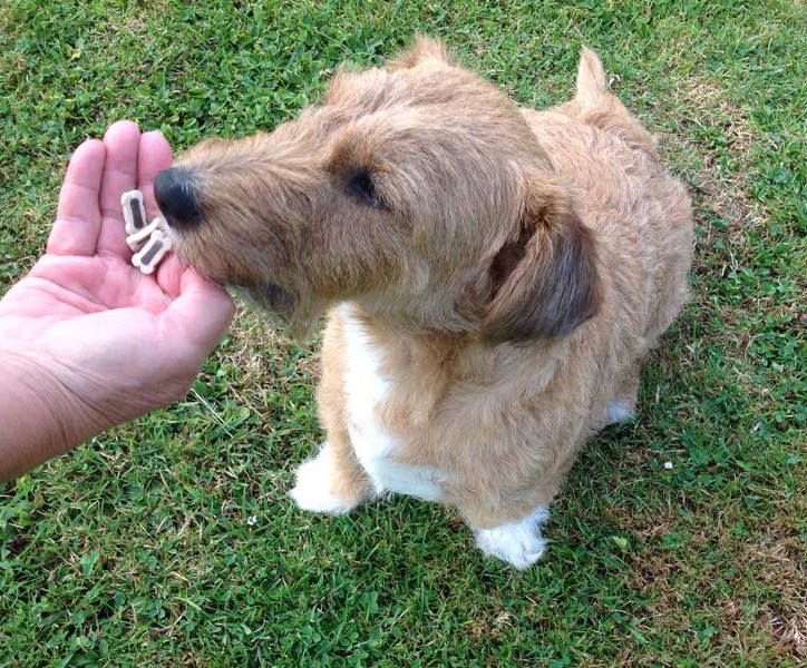 WOUFBOXJUILLET2015_1