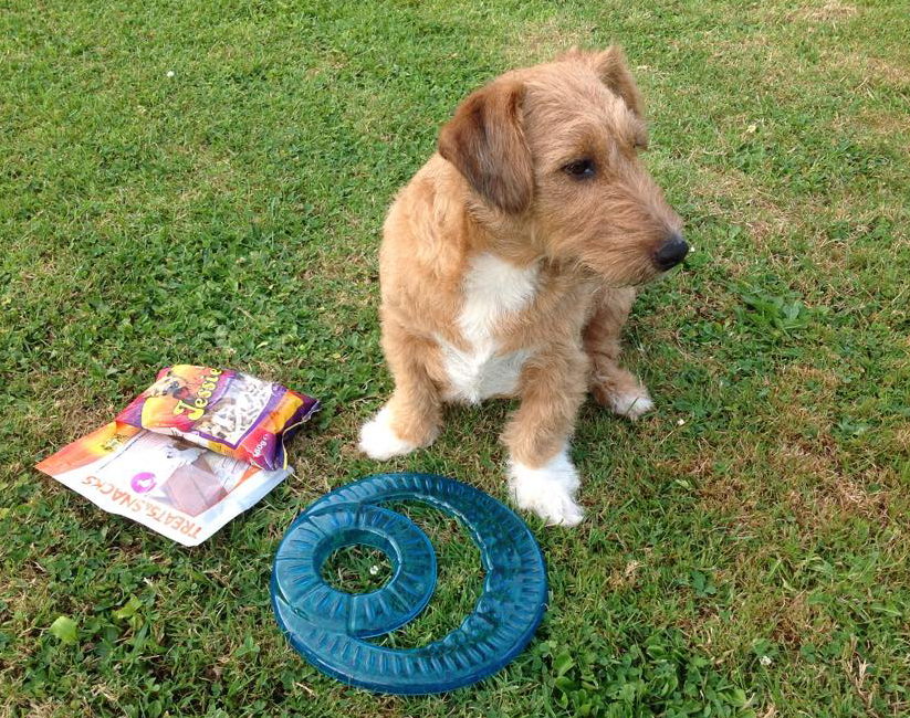 WOUFBOXJUILLET2015_2