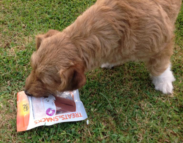 WOUFBOXJUILLET2015_5